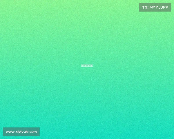 眉山电子科技大学